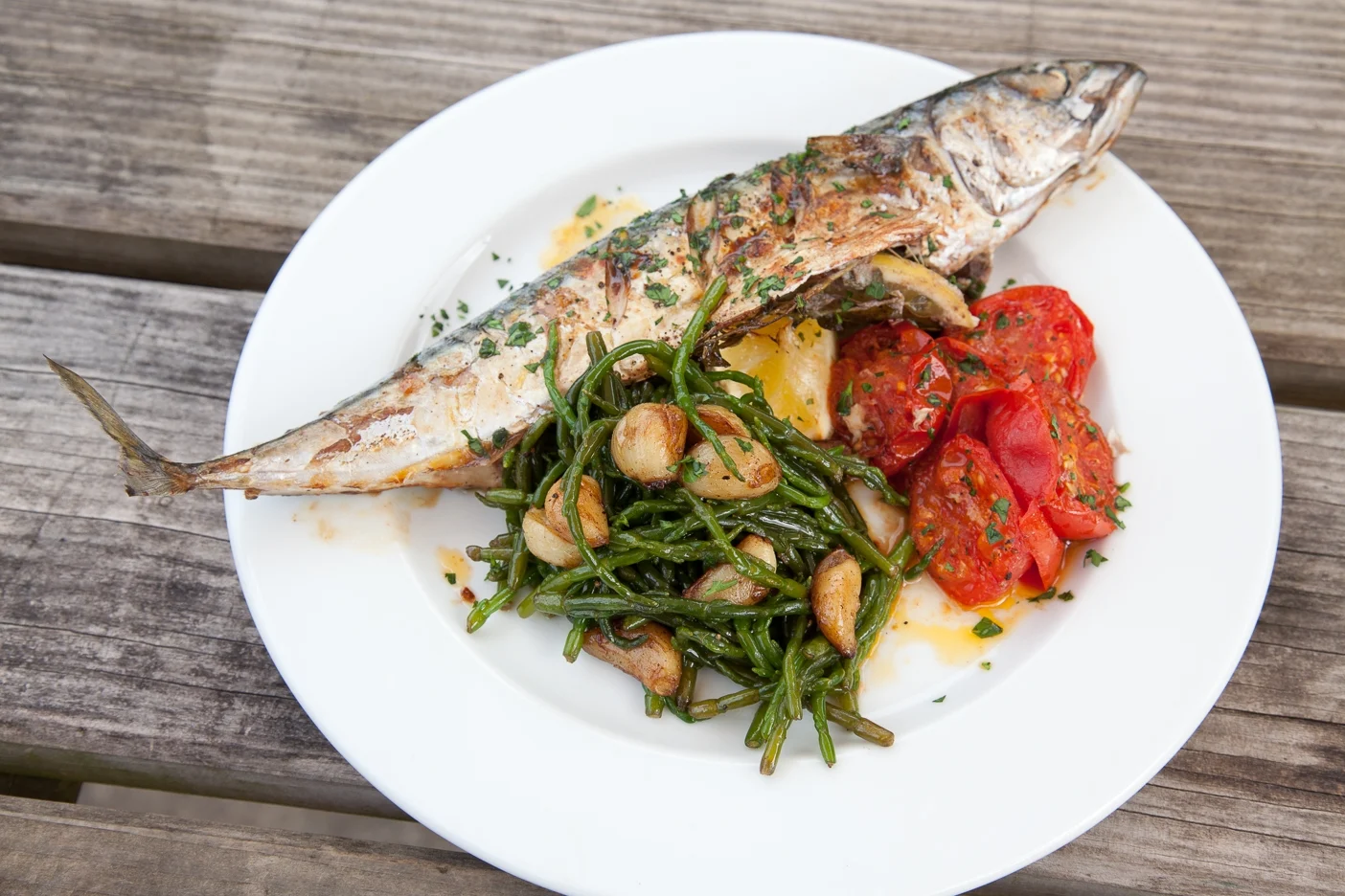 Mackerel Whole